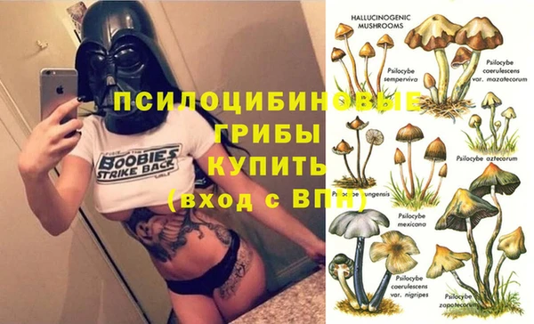apvp Алзамай